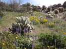 photo thumbnail #1