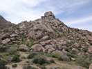 photo thumbnail #1