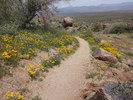 photo thumbnail #2