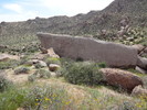 photo thumbnail #4