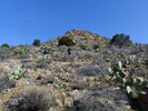 photo thumbnail #3