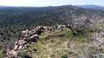 photo thumbnail #7