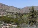 photo thumbnail #6