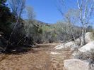photo thumbnail #9