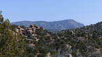 photo thumbnail #11