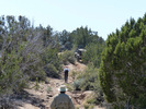 photo thumbnail #15