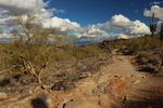 photo thumbnail #4