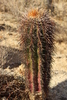 photo thumbnail #8