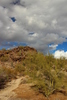 photo thumbnail #9