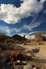 photo thumbnail #12