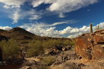 photo thumbnail #13