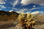 photo thumbnail #14
