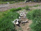 photo thumbnail #8