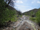photo thumbnail #9