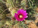 photo thumbnail #10