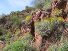 photo thumbnail #12