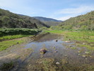 photo thumbnail #13