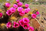 photo thumbnail #5