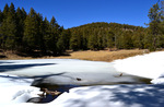 photo thumbnail #5
