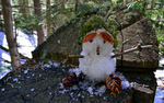 photo thumbnail #8