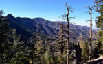 photo thumbnail #11