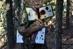 photo thumbnail #12