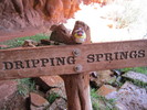 2013-03-28 :2: Dripping Springs - Grand Canyon :: cactuscat