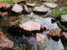 2013-03-28 :2: Dripping Springs - Grand Canyon :: cactuscat