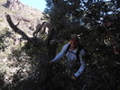 photo thumbnail #6