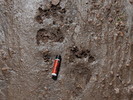 photo thumbnail #9