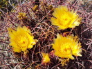 photo thumbnail #1