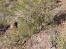 photo thumbnail #5