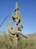 photo thumbnail #11