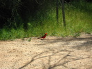 photo thumbnail #2