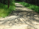 photo thumbnail #5