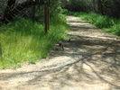 photo thumbnail #6