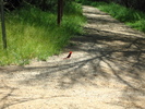 photo thumbnail #7