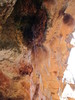 2013-03-28 :2: Dripping Springs - Grand Canyon :: cactuscat