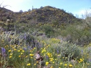 photo thumbnail #1