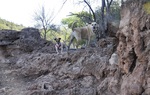 photo thumbnail #3