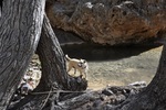 photo thumbnail #7