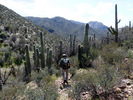photo thumbnail #2
