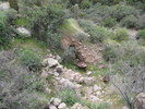 photo thumbnail #11