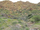 photo thumbnail #13