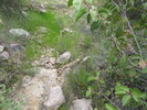 photo thumbnail #14