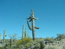 photo thumbnail #7