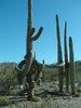 photo thumbnail #8