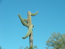 photo thumbnail #10