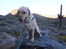 photo thumbnail #5