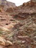 photo thumbnail #14